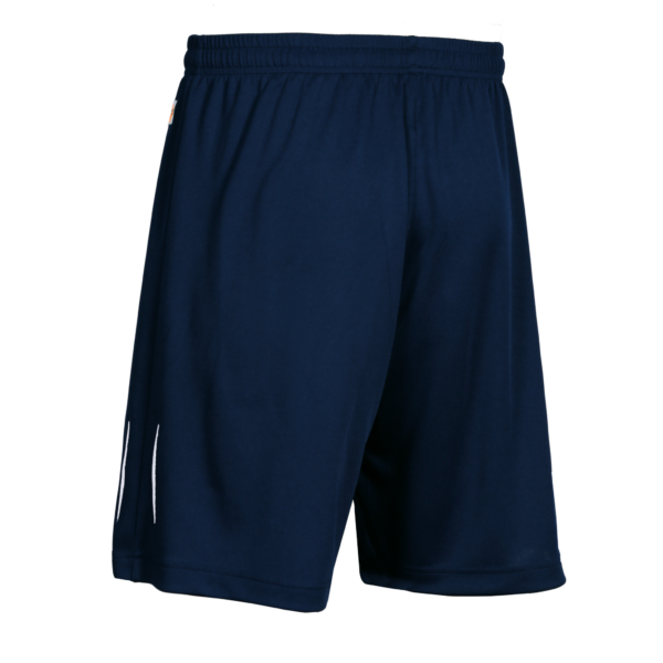 Board Shorts Basic R navy hinten