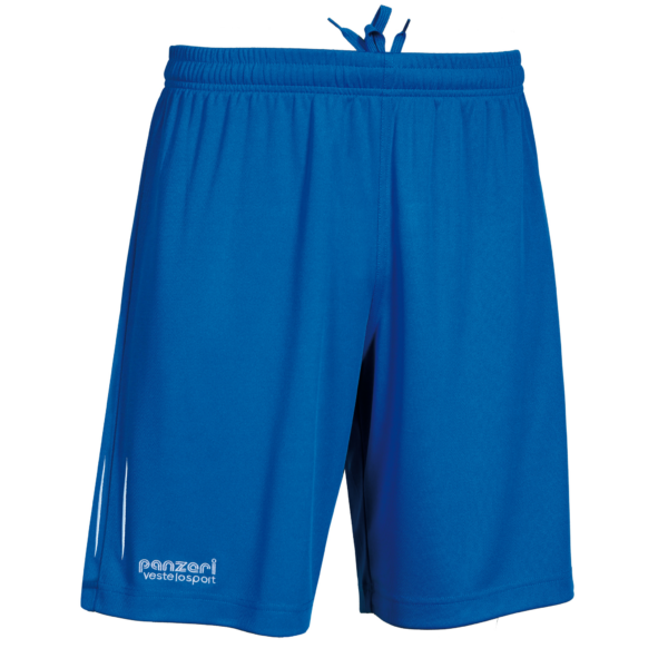 Board Shorts Basic R royal