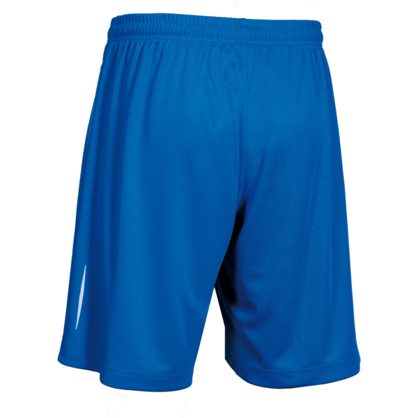 Board Shorts Basic R royal hinten